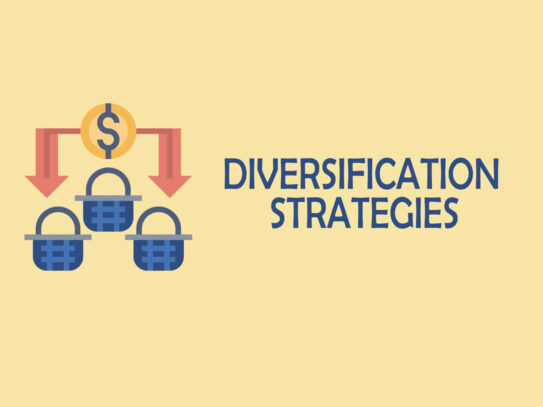 Why Diversification of Marketing Strategies is Vital in 2024